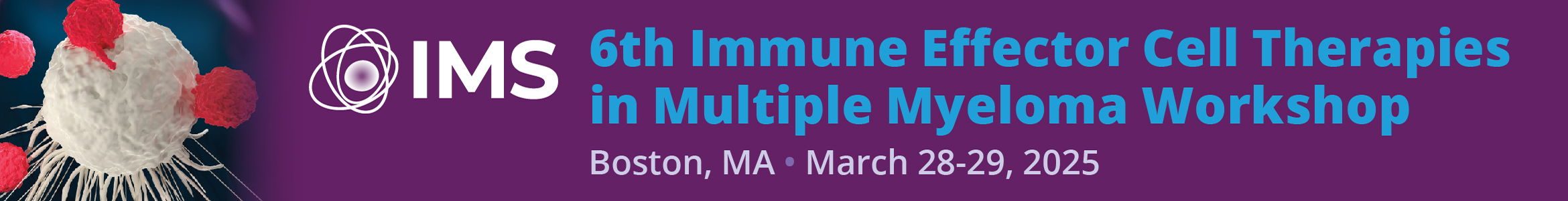 International Myeloma Workshop